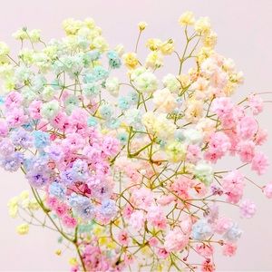 HELLO! Meet Fashannlee.